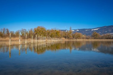 Alplerdeki Constance Gölü 'ndeki yansımalar