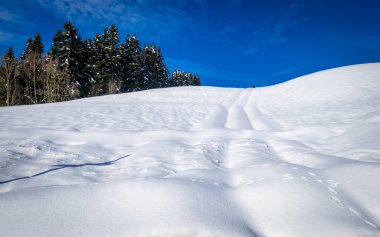 Eichenberg ve Pfander arasındaki kış manzarası, Vorarlberg, Avusturya