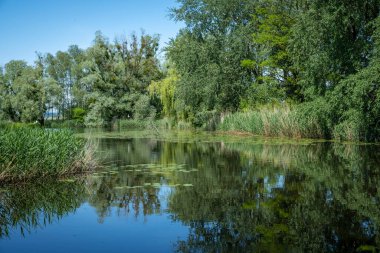 Constance Gölü 'nde Rhein seli