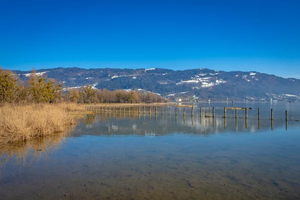Refleksi Danau Constance Alpen — Stok Foto