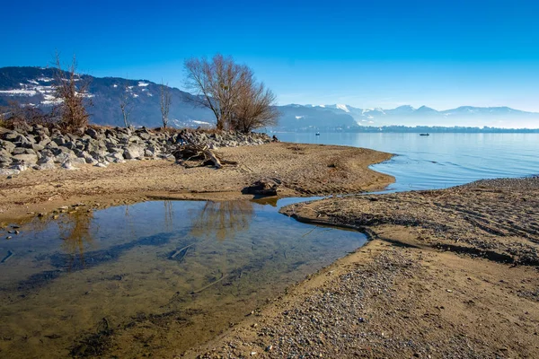 Refleksi Danau Constance Alpen — Stok Foto