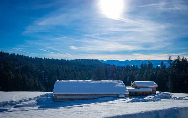 Paysage Hivernal Entre Eichenberg Pfander Vorarlberg Autriche — Photo