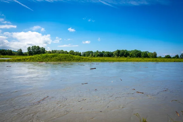 Inondation Rhin Hard Lake Constance — Photo