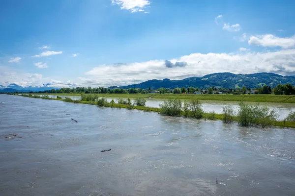 Inondation Rhin Hard Lake Constance — Photo