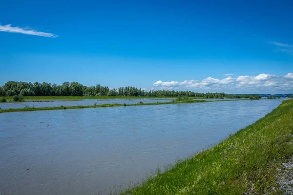 Inondation Rhin Hard Lake Constance — Photo