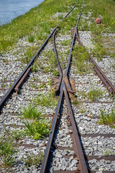 Linie Kolejowe Nad Rzeką Rhein Hard Vorarlberg Austria — Zdjęcie stockowe