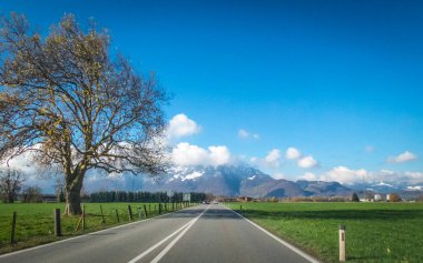 Bahar mevsiminde asfalt yol 