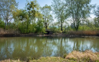 Hard, Vorarlberg, Avusturya 'daki Schleienloch' ta harika bir dinlenme yeri. 