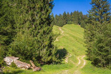 Vadiden Schonenbach 'a, Vorarlberg, Avusturya 