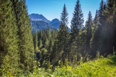 Vadiden Schonenbach 'a, Vorarlberg, Avusturya 