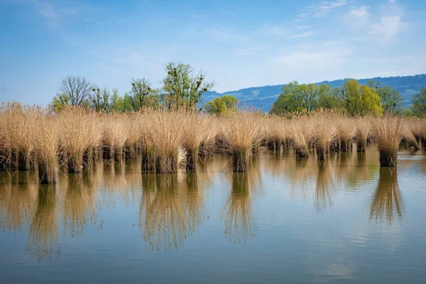 Very Wonderful Local Recreation Area Vogelparadies Weidmoos Salzburg Austria — Stock Photo, Image