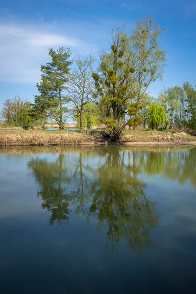 Very Wonderful Local Recreation Area Schleienloch Hard Vorarlberg Austria — Stock Photo, Image