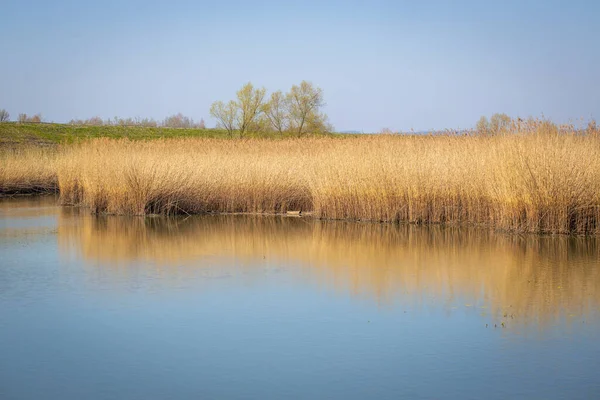 Zone Loisirs Locale Lac Constance Autriche — Photo