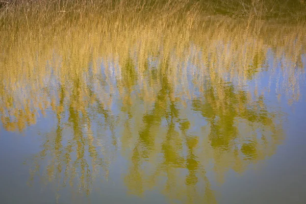 Plaatselijk Recreatiegebied Aan Het Bodenmeer Oostenrijk — Stockfoto