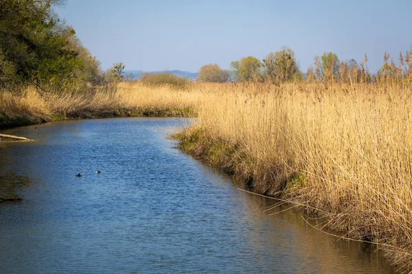 Zone Loisirs Locale Lac Constance Autriche — Photo