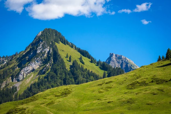 Долина Шоненбах Форарльберг Австрія — стокове фото