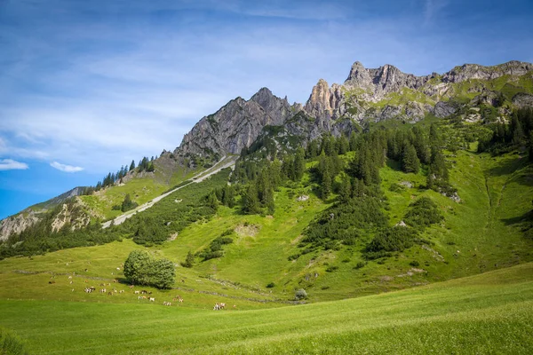 Вид Stuben Arlberg Flexenstrasse Vorarlberg Austria — стокове фото