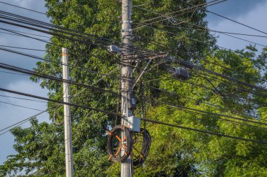 Ağaç ve gökyüzü arka planında birçok elektrik hattı