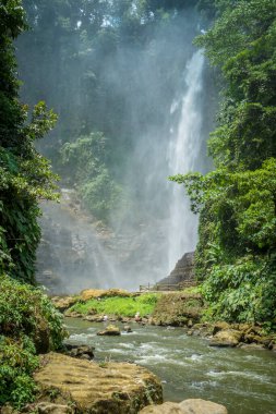Yeşil ormanda güzel bir şelale