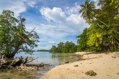 Filipinler 'deki Mindanao' da güzel bir eğlence yeri. 