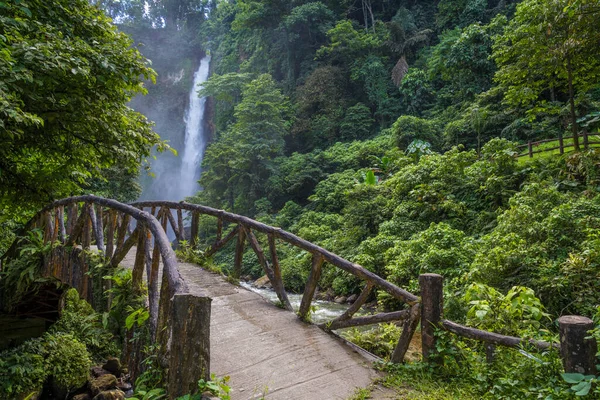 Mindanao, Filipinler 'deki Sebu Gölü yakınlarındaki güzel şelaleye giden yol.