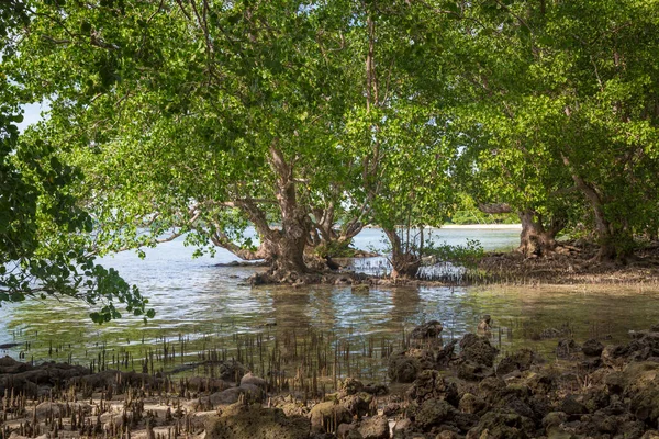 Prachtig Recreatielandschap Mindanao Filippijnen — Stockfoto