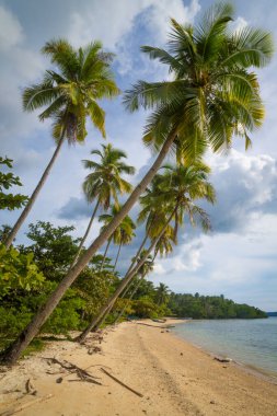 Filipinler 'deki Mindanao' da güzel bir eğlence yeri.  