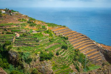 Agulo belediyesi, Kanarya Adaları 'nın Santa Cruz de Tenerife eyaletine bağlı La Gomera adasının kuzey kıyısında yer almaktadır. 