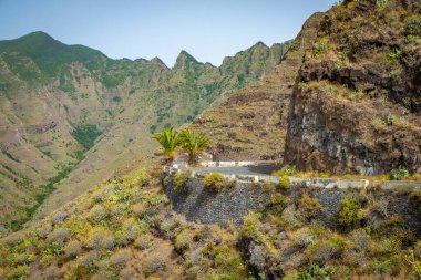 İspanya 'daki Kanarya Adaları' nda yolu olan güzel dağ manzarası