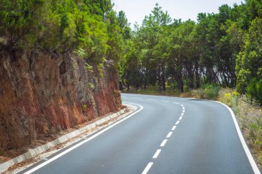 İspanya 'daki Kanarya Adaları' nda yolu olan güzel dağ manzarası