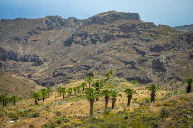 İspanya, Kanarya Adaları 'ndaki güzel dağ manzarası