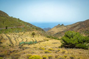 İspanya, Kanarya Adaları 'ndaki güzel dağ manzarası
