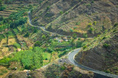 İspanya, Kanarya Adaları 'ndaki tropik dağ manzarası 