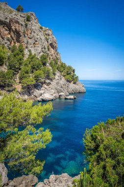 İspanya, Balearen Adaları, Mallorca 'daki Santa Calobra' da kayalık deniz kıyısı. 
