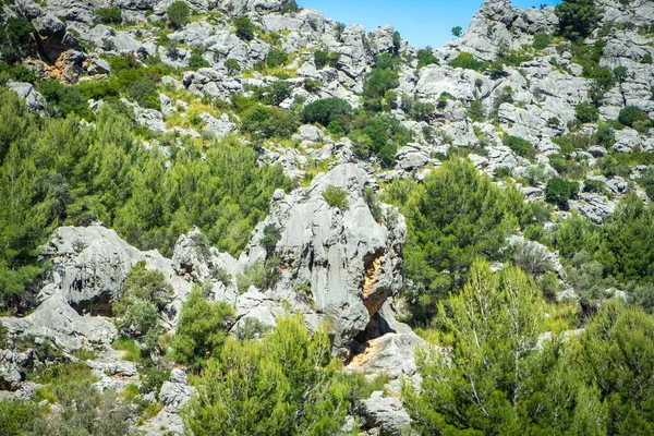 西班牙Balearen岛Mallorca美丽的山区景观 — 图库照片