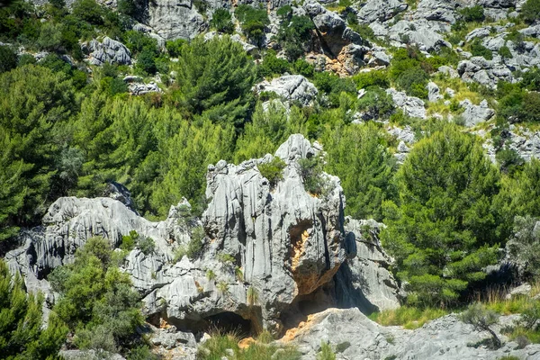 Schöne Berglandschaft Auf Mallorca Balearen Spanien — Stockfoto