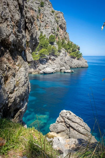 Rocky Tenger Partján Santa Calobra Mallorca Balearen Szigetek Spanyolország — Stock Fotó