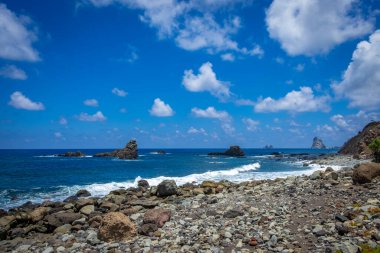 İspanya 'nın Kanarya adalarında kayalık deniz kıyıları 