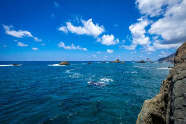 İspanya 'nın Kanarya adalarında kayalık deniz kıyıları 