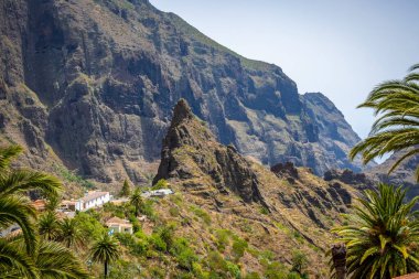Meyvemsi yeşil dağ köyü Masca Tenerife 'deki Teno Kayalıkları' nda 