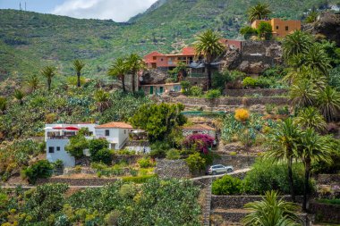 Meyvemsi yeşil dağ köyü Masca Tenerife 'deki Teno Kayalıkları' nda 
