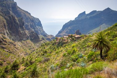 Teno Kayalıkları 'ndan Tenerife' deki Masca köyüne giden kıvrımlı dağ yolu.  