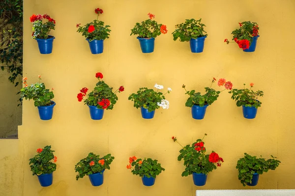 Potten Met Bloemen Aan Muur Spaanse Stad — Stockfoto