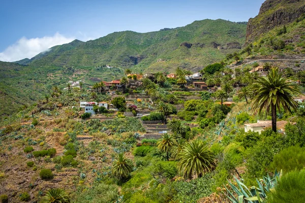 Frutal Pueblo Montaña Verde Masca Las Rocas Teno Tenerife —  Fotos de Stock