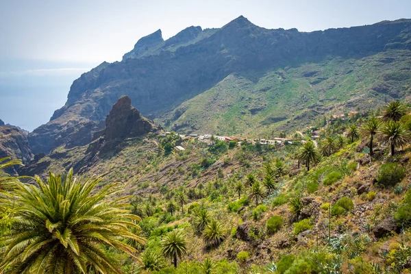 Ovocná Zelená Horská Vesnice Masca Teno Skálách Tenerife — Stock fotografie