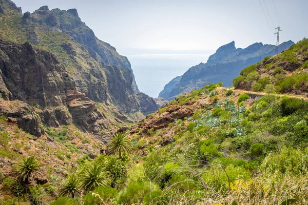 Teno Kayalıkları Ndan Tenerife Deki Masca Köyüne Giden Kıvrımlı Dağ — Stok fotoğraf