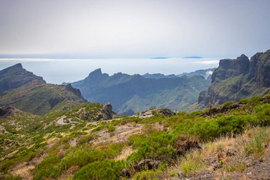 Teno Kayalıkları 'ndan Tenerife' deki Masca köyüne giden kıvrımlı dağ yolu.  