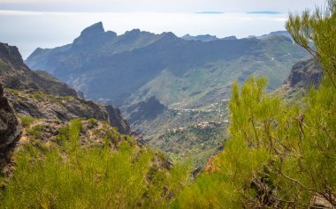 Teno Kayalıkları 'ndan Tenerife' deki Masca köyüne giden kıvrımlı dağ yolu.  