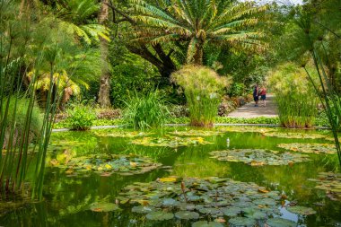 Güzel yeşil bahçedeki gölet