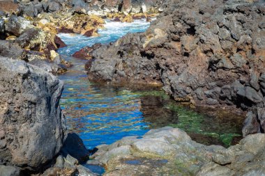 İspanya, Canaria Adaları, Tenerife 'deki Puerto de la Cruz sahilinde mükemmel bir rahatlama.